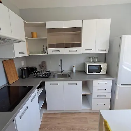 Chiq Blizko Centra Apartment *